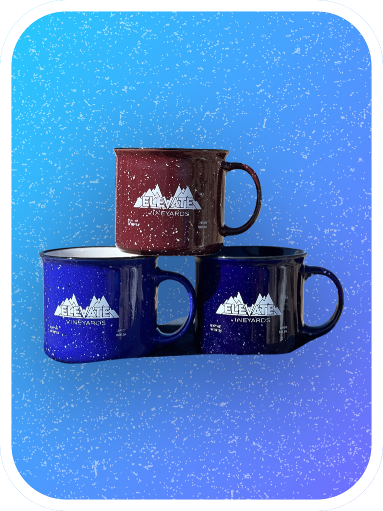 Elevate Camp Mugs